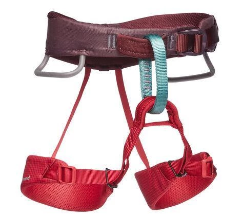 Black Diamond Momentum Kids Climbing Harness 3 Black Diamond Momentum Kids Climbing Harness