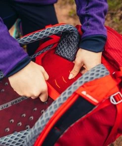 Gregory Wander 50L Youth Backpack