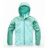 The North Face Girls Warm Storm Jacket Clothing