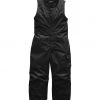 The North Face Toddler Insulated Bib Pant 1 The North Face Toddler Insulated Bib Pant