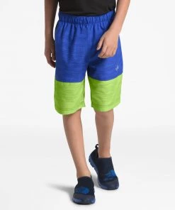 The North Face Boys Class V Shorts Clothing
