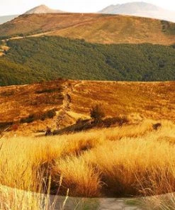 Julbo Line Kids 4-8 Years Sunglasses 9 Julbo Line Kids 4-8 Years Sunglasses