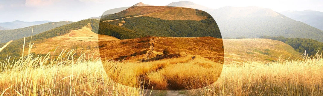 Julbo Line Kids 4-8 Years Sunglasses 6 Julbo Line Kids 4-8 Years Sunglasses