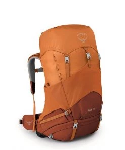 Backpacks Osprey Ace 38L Kids Backpack