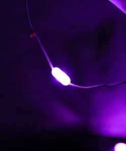 CAMP Luci Light Color Solar String Lights